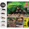 BANDAI Figure*Ikimono Encyclopedia Beetle 08 Complete Set Figure Capsule Toy Japan
