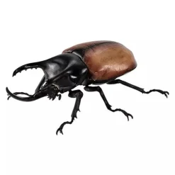 BANDAI Figure*Ikimono Encyclopedia Beetle 08 Complete Set Figure Capsule Toy Japan