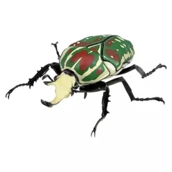 BANDAI Figure*Ikimono Encyclopedia Beetle 08 Complete Set Figure Capsule Toy Japan