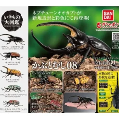 BANDAI Ikimono Encyclopedia Beetle 08 Complete Set Figure Capsule Toy Japan