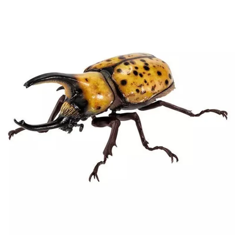 BANDAI Ikimono Encyclopedia Beetle 08 Complete Set Figure Capsule Toy Japan