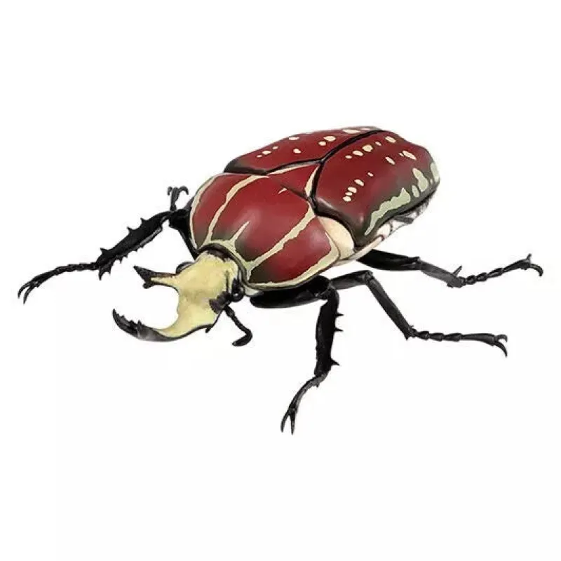 BANDAI Ikimono Encyclopedia Beetle 08 Complete Set Figure Capsule Toy Japan