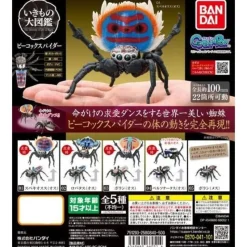 BANDAI Figure|Capsule Toy*Peacock Spider Collection All 5 Type Action Figure Capsule Toy JAPAN