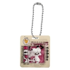 BANDAI PEANUTS Package Miniature Collection Complete set Capsule Toy JAPAN