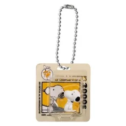 BANDAI PEANUTS Package Miniature Collection Complete set Capsule Toy JAPAN