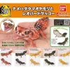 BANDAI Capsule Toy|Capsule Toy*Smooth knob-tailed & Leopard Gecko All 5 Types Set Figure Capsule Toy