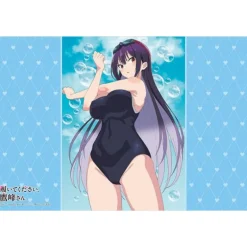 Bushiroad Rubber Mat Collection V2 Vol.1736 Takane Takamine Swimsuit ver. JAPAN
