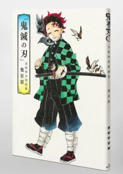 Shueisha Demon Slayer Kimetsu no Yaiba Illustration Art Book by Koyoharu Gotouge JAPAN