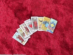 DIG Figure*Pripra Figure Games Tarot 1/12 Model Kit JAPAN OFFICIAL