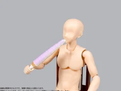 DIG Figure*Pripra Figure's Meal Vol.11 Okinawa Meshi 1/12 Model Kit JAPAN OFFICIAL