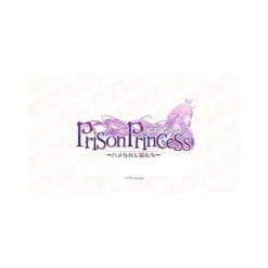 TCG Divine Cross Prison Princess Booster Pack Box JAPAN OFFICIAL