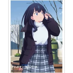 Curtain Damashii Other Toys & Hobbies*Gridman Universe Sleeve Rikka Takarada JAPAN OFFICIAL