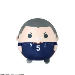 Max Limited Haikyu!! Fuwakororin Msize 4 B Ryunosuke Tanaka Mascot Plush JAPAN OFFICIAL