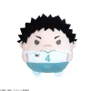 Max Limited Haikyu!! Fuwakororin Msize 4 D Hajime Iwaizumi Mascot Plush JAPAN OFFICIAL