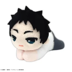 Max Limited Plush Toy*Haikyu!! Hugchara Collection 6 6Pack BOX Plush JAPAN OFFICIAL