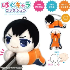 Max Limited Plush Toy*Haikyu!! Hugchara Collection 6 6Pack BOX Plush JAPAN OFFICIAL