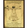 Broccoli Hybrid Sleeve Leonardo da Vinci Vitruvian Man JAPAN OFFICIAL