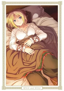 KADOKAWA Books*Spice and Wolf Collector's Edition vol.6 Comics JAPAN OFFICIAL