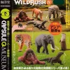 Kaiyodo Figure*Capsule Q Museum WILD RUSH Shin world fauna 4 Asia Gashapon 5 set figure