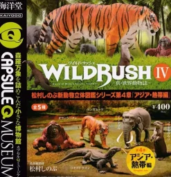 Kaiyodo Figure*Capsule Q Museum WILD RUSH Shin world fauna 4 Asia Gashapon 5 set figure