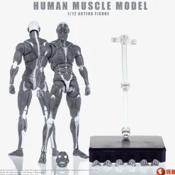 KEEPGOING Studio Figure*Human Muscle Model Gray 1/12 Action Figure JAPAN OFFICIAL