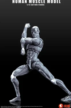 KEEPGOING Studio Figure*Human Muscle Model Gray 1/12 Action Figure JAPAN OFFICIAL