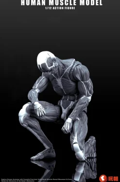 KEEPGOING Studio Figure*Human Muscle Model Gray 1/12 Action Figure JAPAN OFFICIAL