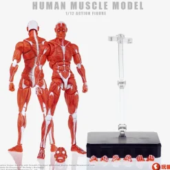 KEEPGOING Studio Human Muscle Model Red 1/12 Action Figure JAPAN OFFICIAL