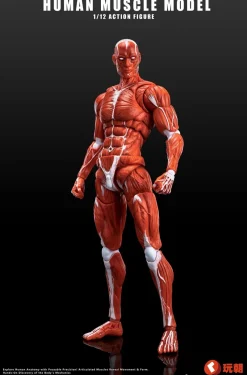 KEEPGOING Studio Human Muscle Model Red 1/12 Action Figure JAPAN OFFICIAL