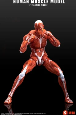 KEEPGOING Studio Human Muscle Model Red 1/12 Action Figure JAPAN OFFICIAL