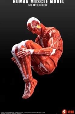 KEEPGOING Studio Human Muscle Model Red 1/12 Action Figure JAPAN OFFICIAL