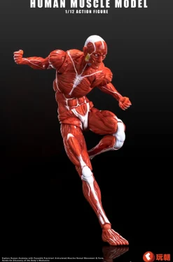 KEEPGOING Studio Human Muscle Model Red 1/12 Action Figure JAPAN OFFICIAL