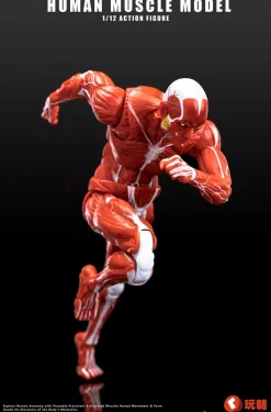 KEEPGOING Studio Human Muscle Model Red 1/12 Action Figure JAPAN OFFICIAL