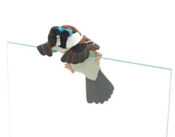 KitanClub Kitan Club Small Bird’s Holiday Sniper Sparrow Complete Set Figure Capsule Toy