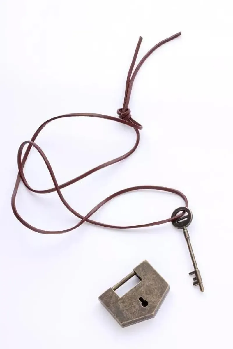 Kodansha Attack on Titan Artbook FLY With Benefits JAPAN OFFICIAL