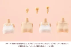 Kotobukiya Figure*Sousai Shoujo Teien Dress Up Body S 1/10 Model Kit JAPAN OFFICIAL