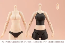 Kotobukiya Figure*Sousai Shoujo Teien Dress Up Body M Color C Ver. 1/10 Model Kit JAPAN