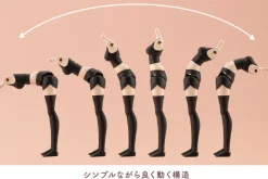 Kotobukiya Figure*Sousai Shoujo Teien Dress Up Body M Color C Ver. 1/10 Model Kit JAPAN