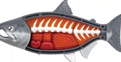 MegaHouse Special King Salmon 3D Puzzle Sushi Shows JAPAN OFFICIAL