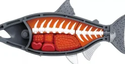 MegaHouse Special King Salmon 3D Puzzle Sushi Shows JAPAN OFFICIAL