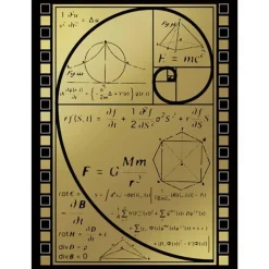 Broccoli Other Toys & Hobbies*Monochrome Sleeve Premium Golden Spiral JAPAN OFFICIAL