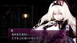 CFK Video Game*Nintendo Switch Koumajou Remilia II Stranger’s Requiem Limited Edition JAPAN