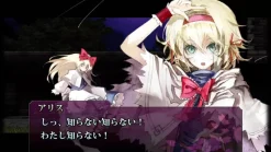 CFK Video Game*Nintendo Switch Koumajou Remilia II Stranger’s Requiem Limited Edition JAPAN