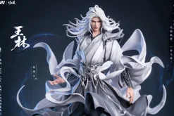 PIJI Figure*Renegade Immortal Wang Lin 1/6 Figure JAPAN OFFICIAL