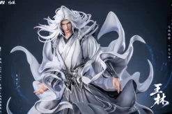 PIJI Figure*Renegade Immortal Wang Lin 1/6 Figure JAPAN OFFICIAL