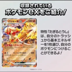 Pokemon Card Game Generations Kyogre ex & Blaziken ex Starter Deck TCG JAPAN