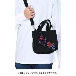 Pokemon Center Original Clear Case with Carabiner TREASURED WAY HOME JAPAN