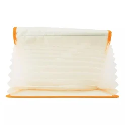 Pokemon Center Pokemon*Original Pokemon's Journey Document Case A4 JAPAN OFFICIAL