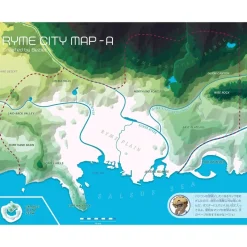 Over-lap Pokemon Detective Pikachu Ryme City Guide Book JAPAN OFFICIAL