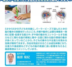 Kawada Other Toys & Hobbies*Pokemon Perler Beads Multi-Set Lots of Pokemon JAPAN OFFICIAL